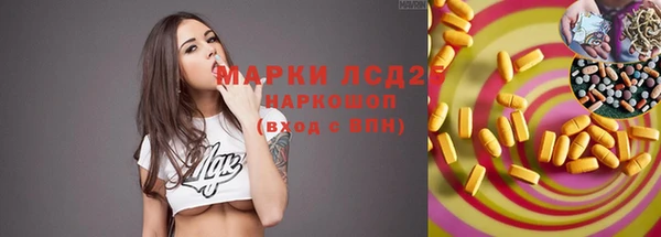 ГАЛЛЮЦИНОГЕННЫЕ ГРИБЫ Аркадак