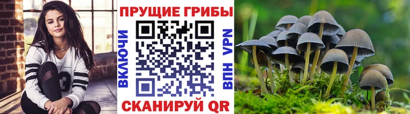 Галлюциногенные грибы мухоморы  где найти   Таруса 